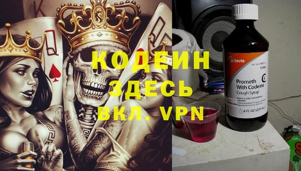 шишки Ладушкин