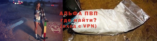 спиды Лабытнанги