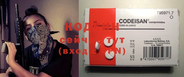 спиды Лабытнанги