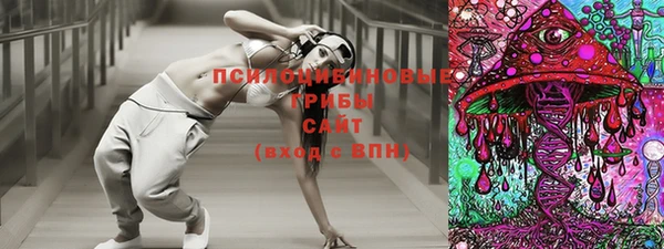 спиды Лабытнанги