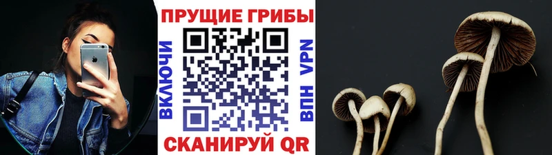 Псилоцибиновые грибы GOLDEN TEACHER Алушта