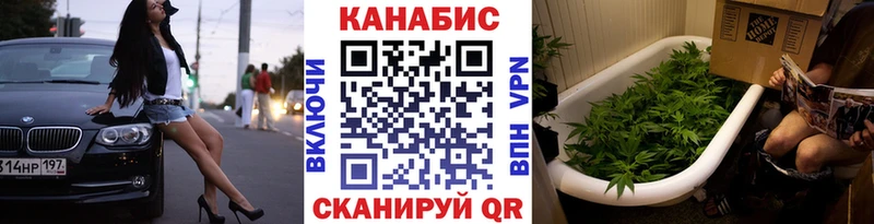Канабис план  Купить закладки  Алушта 